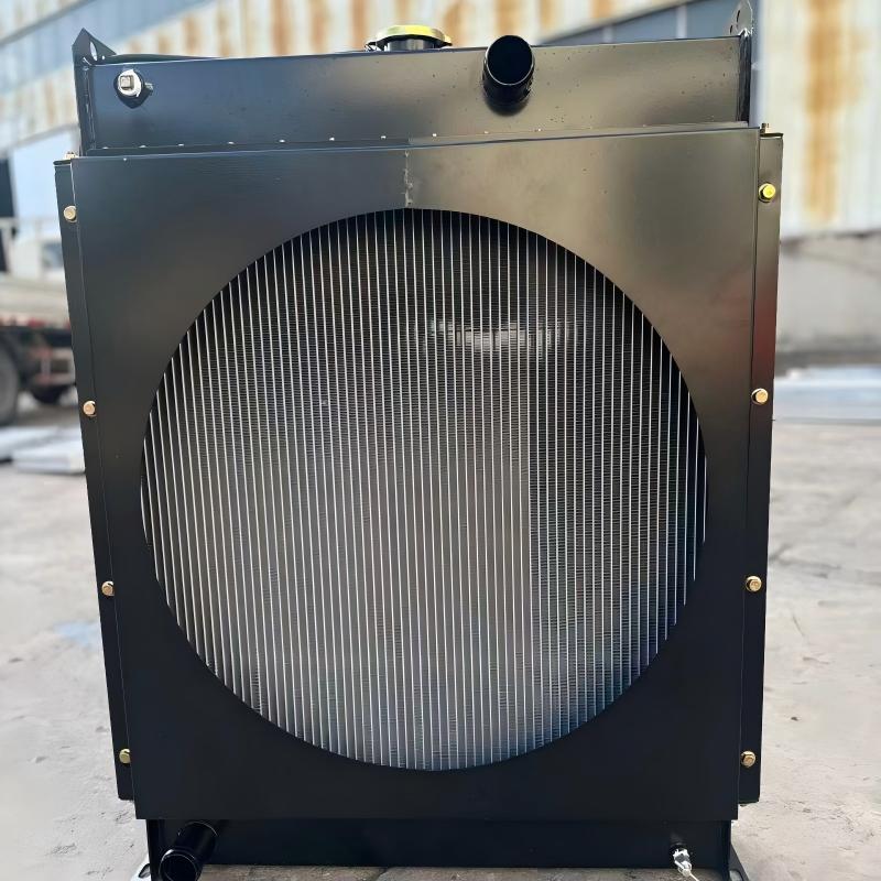 Ricardo series generator radiator